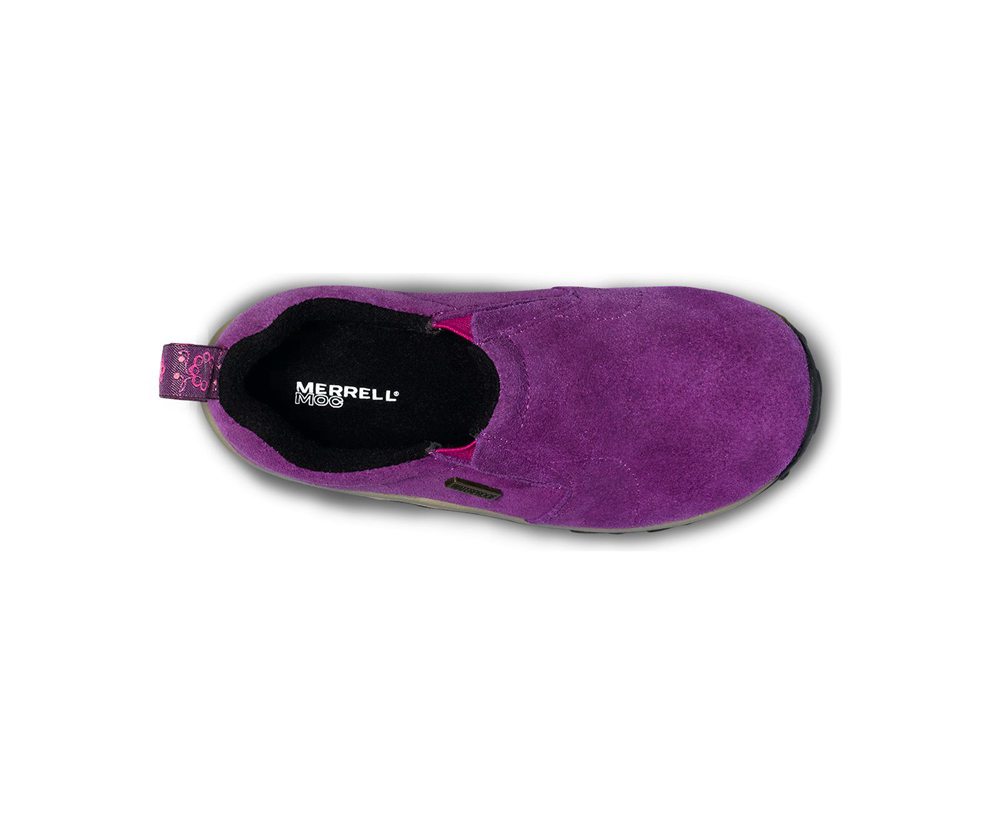 Merrell Barefoot Sko Børn - Jungle Moc Frosty Waterproof - Lilla - NIE315468